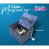 Caja Musical de Harry Potter